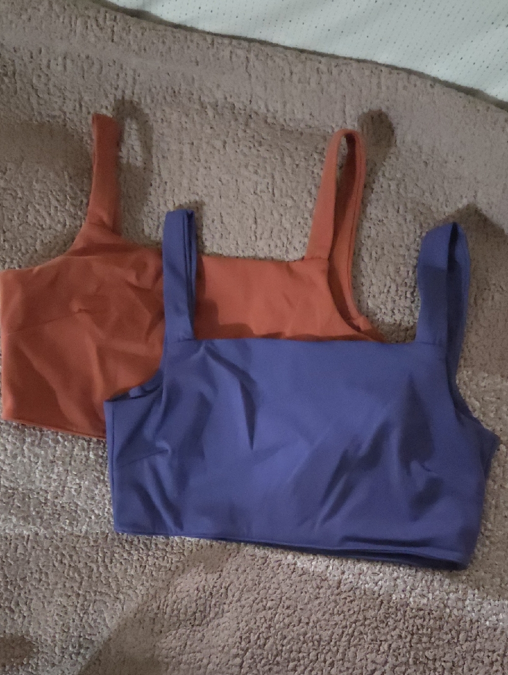 Paragaon Branded Square Neck Crop Tank Top - Purple and Rust
